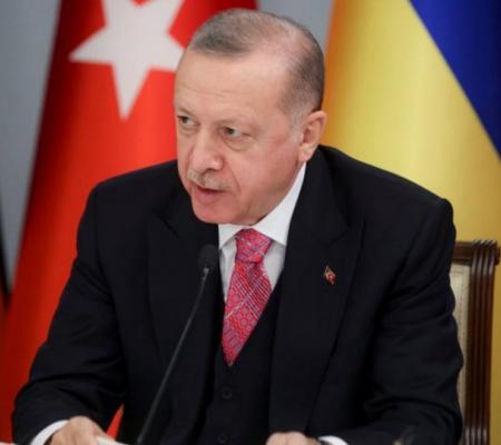 Эксперт дал оценку визиту Эрдогана в Киев