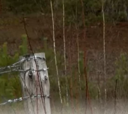 Тихий бой: эксперт объяснил, зачем Беларусь строит дороги к украинской границе