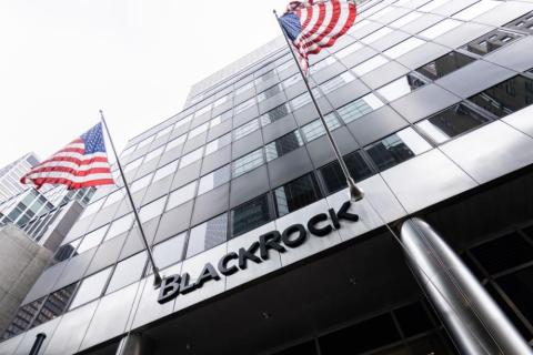 BlackRock и другие американские  компании планируют создать  Банк и Инвестиционный фонд, которые будут контролировать процесс восстановления Украины.