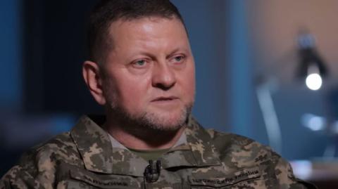 Новий «батько нації»? Політичні перспективи Залужного