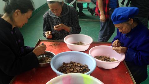 Achievements of the PRC in Poverty Reduction under Xi Jinping’s Leadership, Including Measures to Reduce Poverty and Initiatives to Prevent Its Return