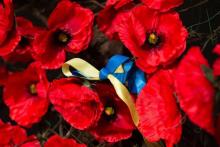 Поправка на войну. Отказалась ли Украина от 9 Мая и постсоветских ценностей